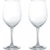 Gimex Copas De Plástico Para Vino Blanco Soplado 250 Ml Juego De 2