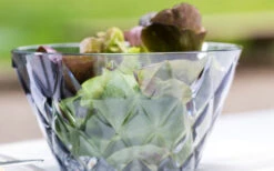 Koziol Crystal S Serving Bowl 500 Ml