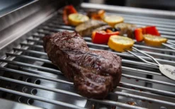 Grillfürst G201E Parrilla Portátil De Gas De 2 Quemadores -Cámping Tienda De Ventas 385660 2824885