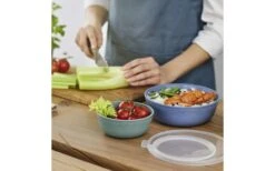 Rotho Tresa Bowl Con Tapa 0,35 Litros Verde Azul -Cámping Tienda De Ventas 443918 3180293