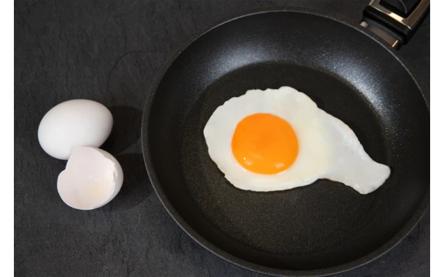 Sartén De Plasma Cerafit 20 Cm 1 Sartén De Plasma Cerafit 20 Cm