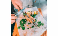 Brochetas Skotti Pikes -Cámping Tienda De Ventas 748574 5138330